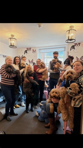 Today was a Cockapoo day, hosting our first breed get together event! We had an absolute blast! 🐾 Thanks to everyone who joined us and keep an eye out for our upcoming breed events, we have lots planned! #cockapoo #dog #dogsofinstagram #dogfriendly #tonbridge | The Pup Cup