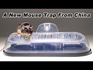 Flips Completely Around When It Catches A Mouse - Check Out This New Mouse Trap From China.