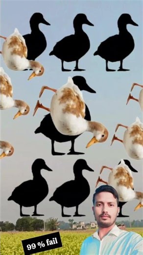 duck mismatch best reels challenge #trending #mismatch #puzzle #shorts
