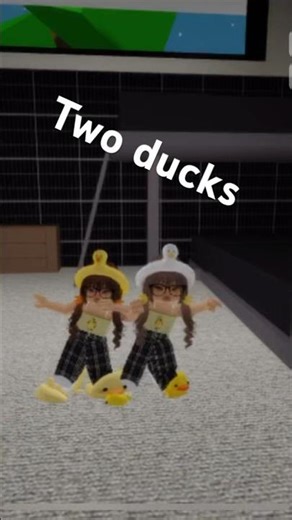 Two ducks