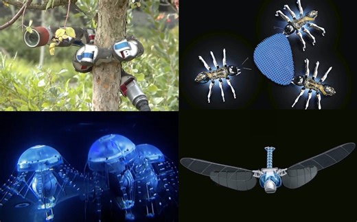 20种让人惊叹的动物机器人（20 Amazing Robot Animals That Will Blow Your Mind）
