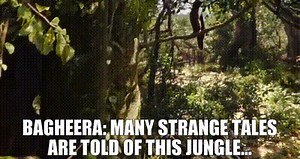 BAGHEERA: Many strange tales are told of this Jungle...
