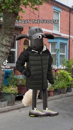 I am Shaun the scouse