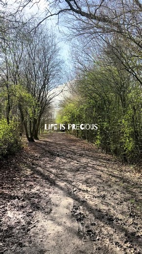 This > 🌆 #hike #walk #nature #fyp #inspiration