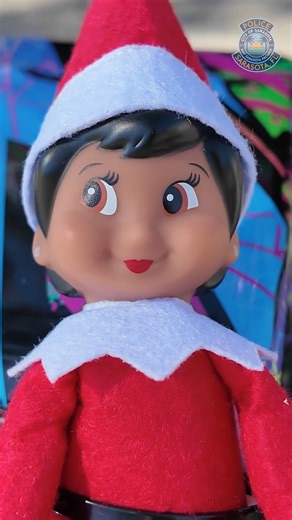 9K views · 98 reactions |  Mischievous elf activity is on the rise! But don’t worry, our officers are on it!  This troublemaker was caught recklessly ‘driving’ down Main Street. Does Santa know you left the workshop?!  Stay safe and leave the stunts to the elves!  | Sarasota Police Department | Facebook