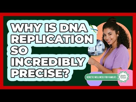 Why Is DNA Replication So Incredibly Precise? - Genetic Wellness for Families