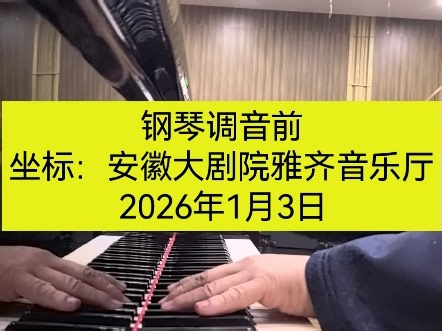 【剧场调音记录】2026第3台：为音乐会调整基准音高｜442Hz → 440Hz 全流程