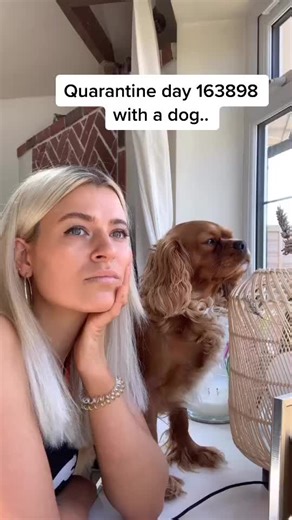Dog Owner Yoga: Hands Up with Richelle Ryan in Yoga Pants