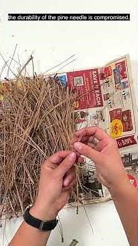 🧺Sorting Foraged Pine Needles for Basketry | Quick Tips