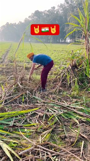 🙏🏻🤘Pure Pendoo🤘🙏🏻