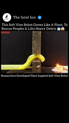 This Soft Vine Robot Grow Like A Plant, To Rescue Peoples & Lifts Heavy Debris!🤖😱 #Robotics #VineBot