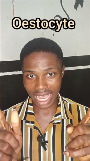 Your Skeleton Breaks Down & Rebuilds Itself! 🤯🦴 #humanbody #facts #biologyfacts #bone #education