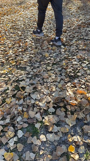 Serene and scenic #medtech #medtechlife #medtechjourney #Medtechph #MedicalLabTechnology #medlabscientist #MedLabScience #medtechadventure #medtechonvacation | GB A Narag