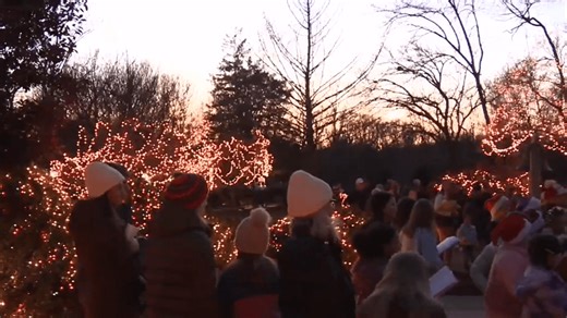 Lynchburg Awareness Garden held its annual Christmas lighting event