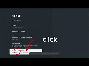 How to enable developer option and enable usb debuggin as well as wireless debugging.