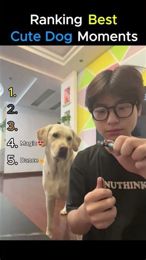 RANKING BEST CUTE DOGS MOMENTS