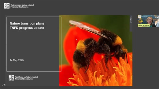 Nature transition plans: TNFD progress update
