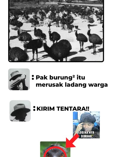 The Great Emu War: A Unique Chapter in Australian History