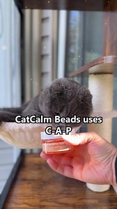 Your cats aren't fighting because they're "bad cats." They're fighting because they don't see each other as family. CatCalm Family uses cold-release gel bead technology to deliver CAP – the mother-cat bonding pheromone that makes cats feel safe together. No outlet needed. Just 100% effective bonding signals. 97% success rate. 90-day guarantee. Click below and finally have peace at home. | PawsReport