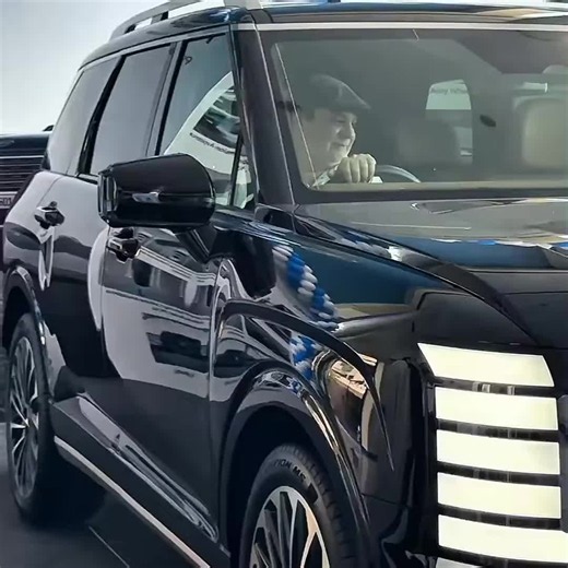 Hyundai Palisade vs Tank 500: Luxury SUV comparison