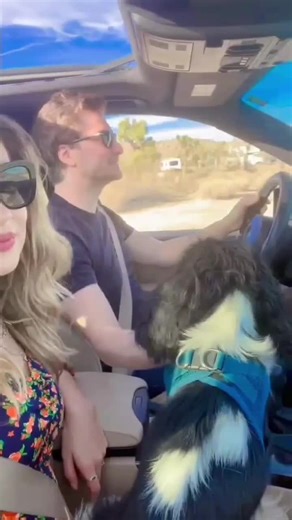 a moment of love♥️. #wcthtiktok