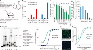 Convert Ksd File To Jpg