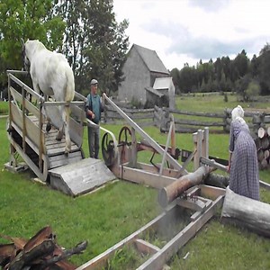 242K views · 373 shares | Animal Lover TV - Amazing Using Creative Horse Power In Production - Horse Life | Funny Animal's Life | Facebook