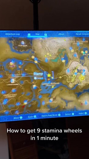 Quick Stamina Food Guide for Tearsofthekingdom & BotW