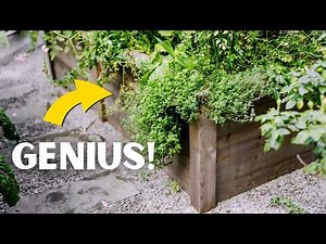My Top 5 Raised Bed Garden Tips