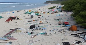 How Plastic Bottles Become Death Traps for Hermit Crabs