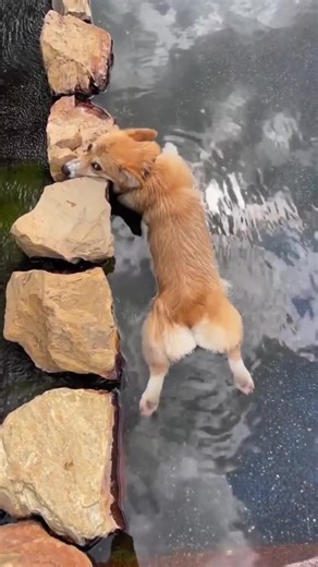 2.4K views · 46 reactions | When you’re soaking in the hot tub and they call you for your body shampoo.  So relaxed and ready! : @fofocinhosvideos | Jeju Sauna & Spa Home of Wellbeing | Facebook