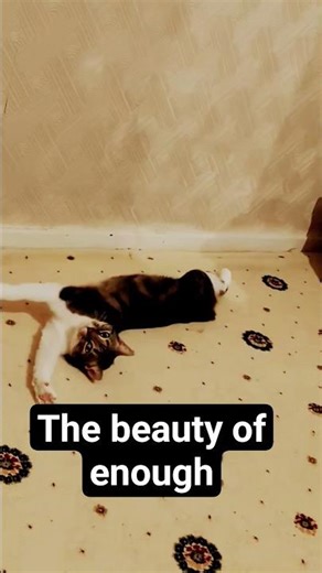 Choosing less in a world of more#shortsfeed #shorts #motivational #youtubeshorts