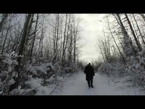 Deer Hunting in Winter 2024