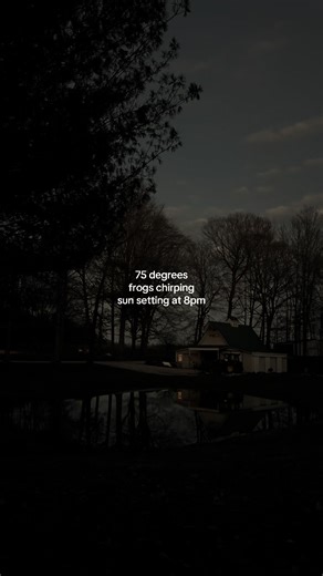 Spring is Here: Frogs and Sunshine