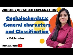 General Characteristics and Classification of Cephalochordata (Notes) Bsc 2nd year Zoology