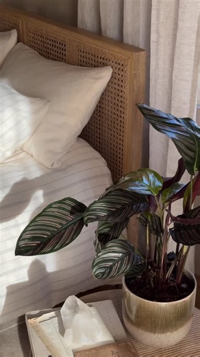 Nkuku on Instagram: "Mindful bedroom styling. 🕯️ 💭 Think calm & comfort first. Prioritise making your bedroom a nurturing space – something that helps you unwind, feel safe, and recharge. ￼ 💭 Form & function. Choose pieces that are beautiful and useful. Solid wood beds, bedside tables that store well, adjustable lighting – these all combine style with usefulness. ￼ 💭 Declutter & smart storage. Keep surfaces clear and belongings organised. Clutter can overstimulate the mind – tidy shelves, dr