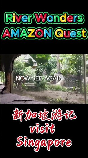 River Wonder - 06 - Singapore River Safari | Amazon River Quest Boat Ride |Travel360 #riverwonders