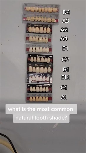 Can You Guess the Correct Teeth?