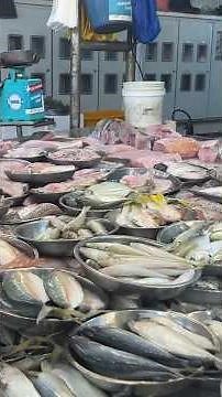 Singapore Wet Market Experience You Must See🧄| Chong Pang Market! 🍅