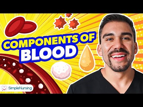 Nursing Essentials: Exploring the Vital Components of Blood