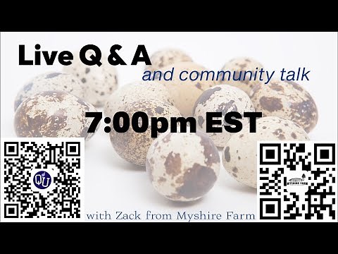 Myshire Farm is live! And with some BIG NEWS!!!!!!