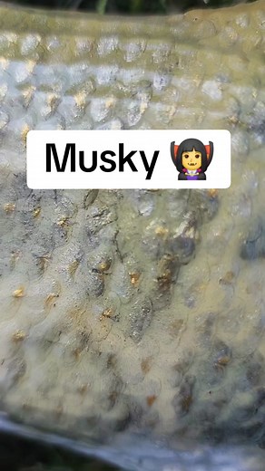 Jenalee_taxidermist on TikTok