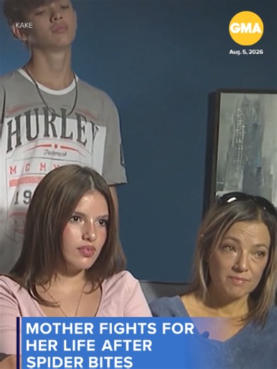 A mother of four was left fighting for her life after spider bites on her legs sent her to the hospital and is now in need of a liver transplant. #news #spiders #health
