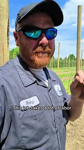 Preventing blight