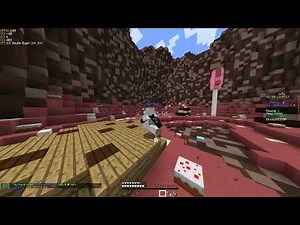 BlocksMC 1vs1