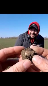 That moment Sid perry got the moment Daniel Spencer found a gold quarter stater on a metal detectives group dig in Oxfordshire. #metaldetectinguk #metaldetecting #metaldetectingfinds #detectorists | The Metal Detectives Group