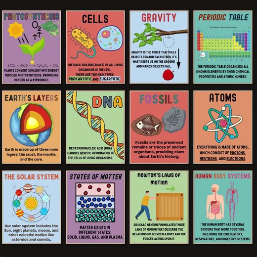 Science Class Posters Set of 12 Middle School Science Posters High School Facts Science Teacher Classroom Bulletin Board Science Facts Print - Etsy