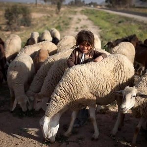 Pour chaque enfant Tunisien, un sourire... Suivez la page officielle de l'UNICEF Tunisie | UNICEF Tunisie