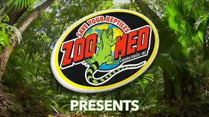 Naturalistic Terrarium® Double Door | Zoo Med Laboratories, Inc.