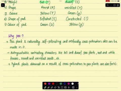 Class 10 Science | Heredity Full Chapter Explained | SEE Science | Class 10 Science Biology